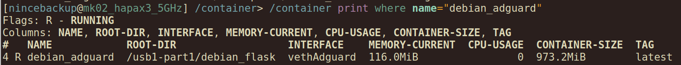 MikroTik hAP ax3 container resource usage showing the Debian Flask website container using 116 MiB of RAM